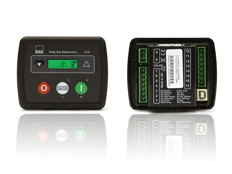 DSE3110